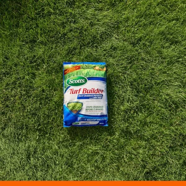 Ad by The Home Depot