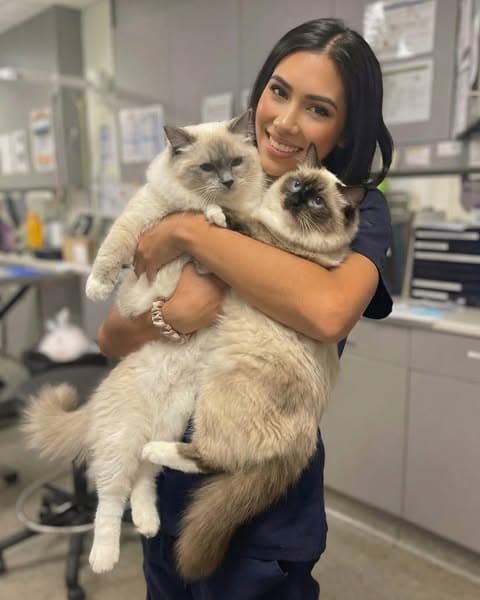 Ad by RYZE Superfoods