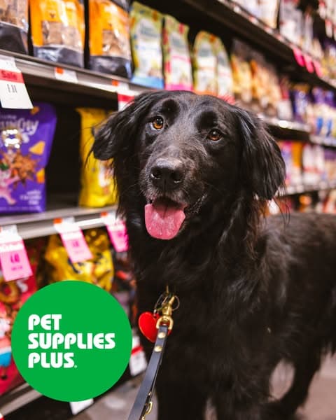 Ad by Pet Supplies Plus - Bloomfield Hills, MI