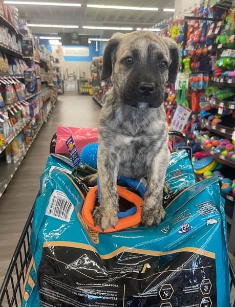 Ad by Chuck & Don's Pet Food & Supplies